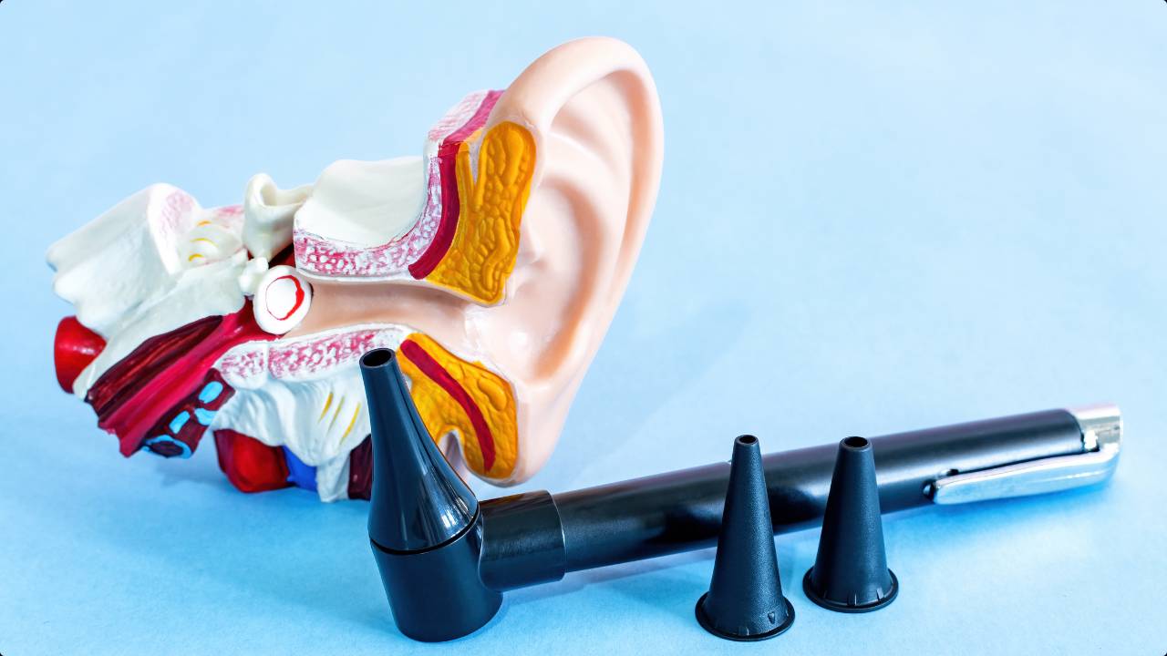 Stop Ringing in the Ears.